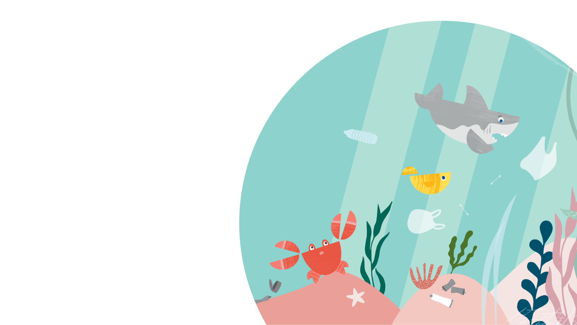 Harmen van Straaten scheef speciaal voor Fairytabs een prentenboek. In het verhaal gaan drie onderwatervrienden de oceaan opruimen! Een duurzaam kinderboek waardoor tanden poetsen weer leuk wordt!